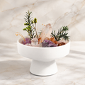 Clear Quartz Crystal Garden DIY Material Kit Manifest & Create｜Blessedchi